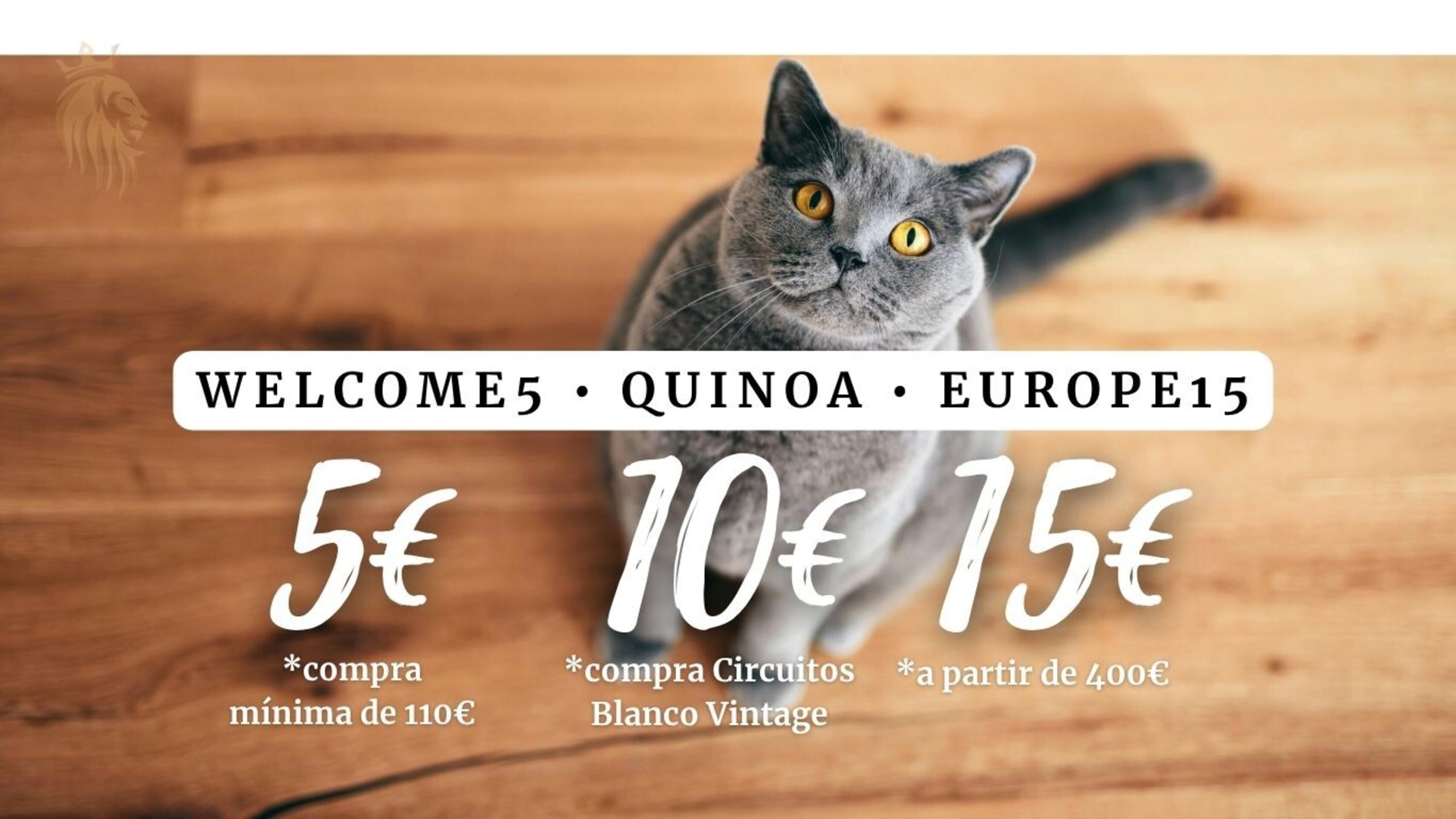 ¡Lo mejor para tu gato y para ti!