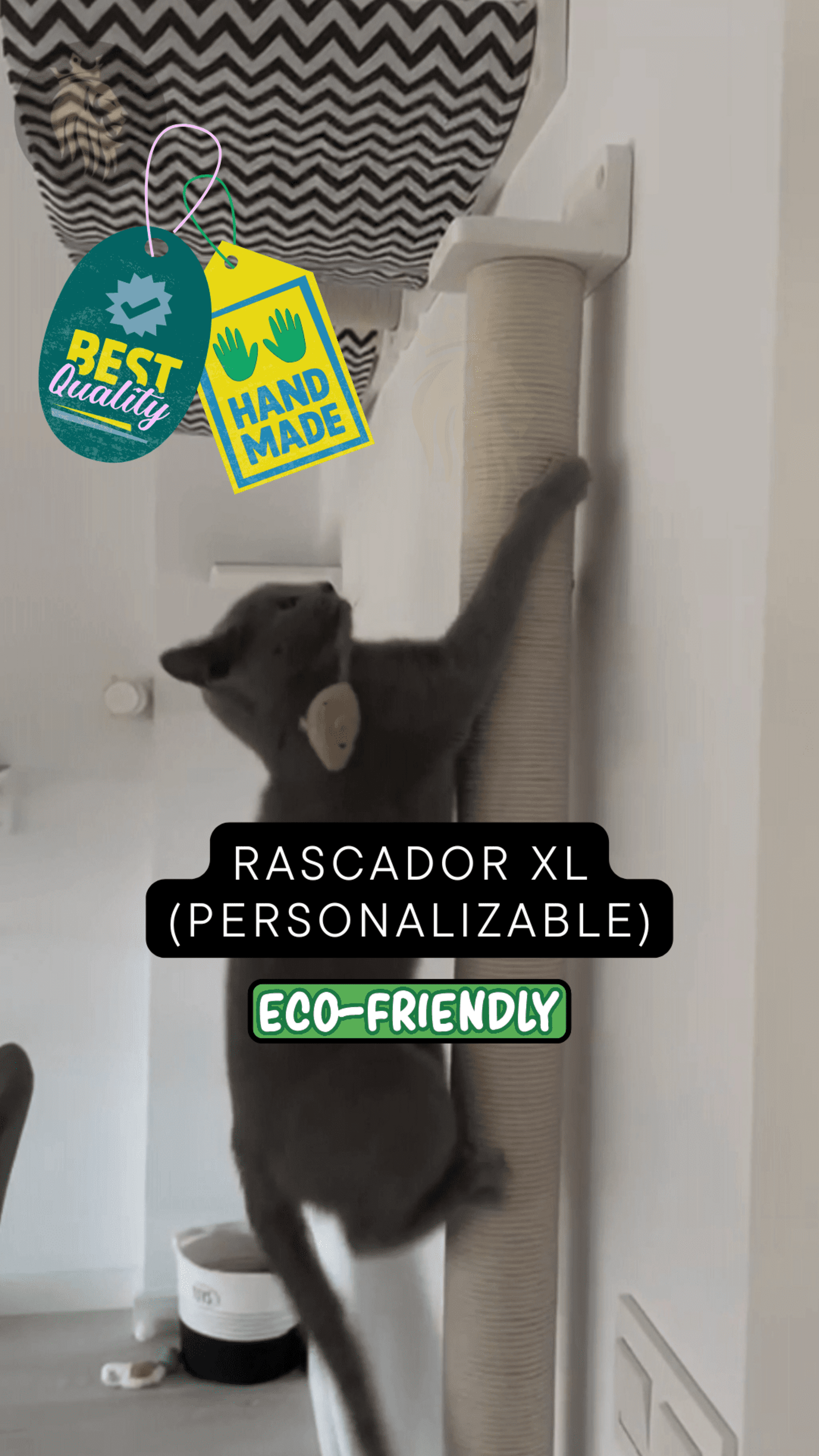 Rascador XL (personalizable) + Estudio de tu espacio + Esbozo + Regalo - 3