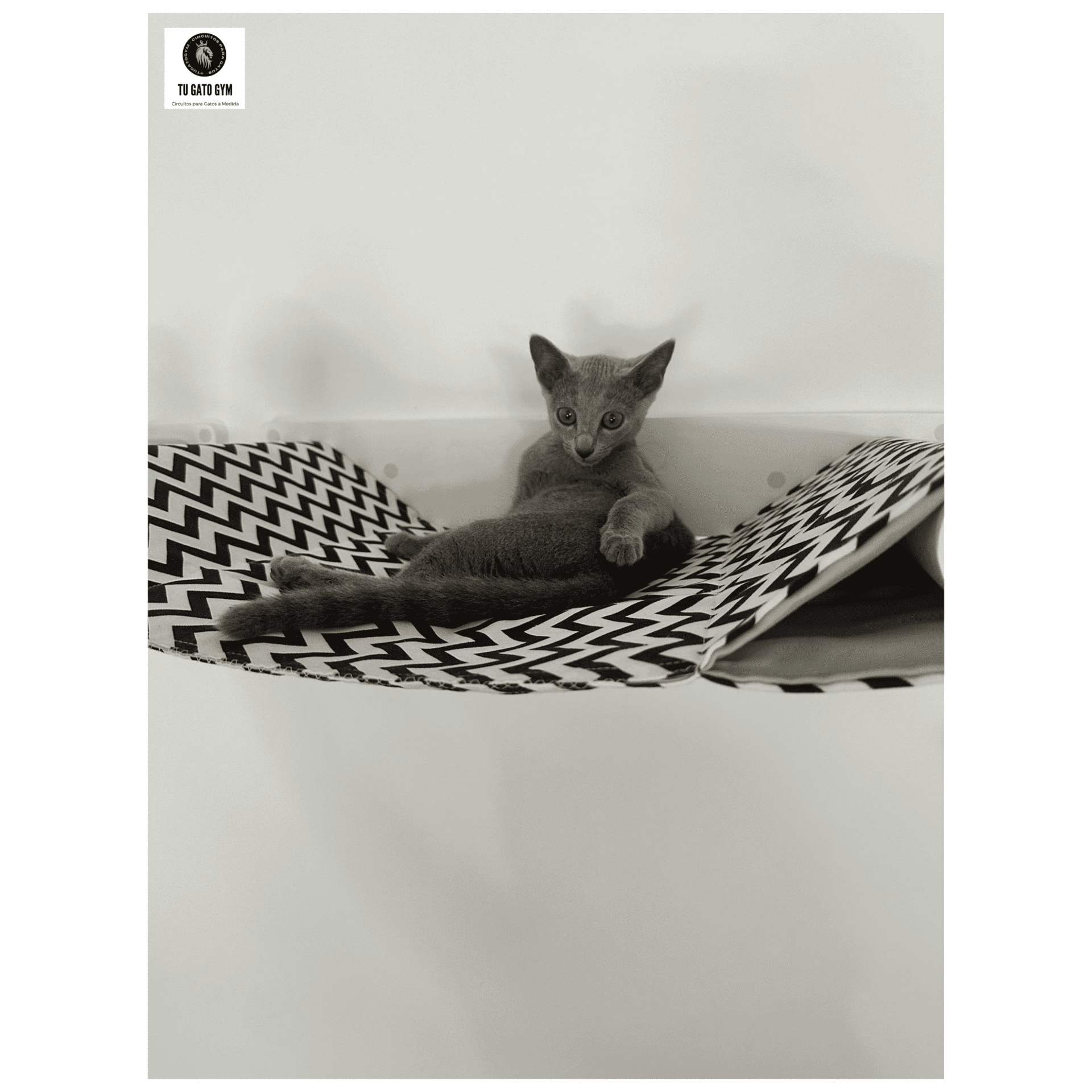 Circuito Blanco Vintage 2 + Estudio + Esbozo + Regalo + Envío Gratis* - 21