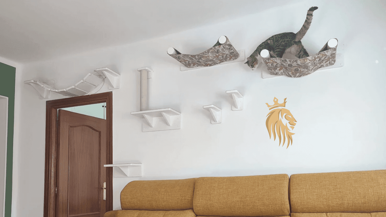 Circuito para Gatos A Medida y Personalizado para Leji by @tugatogym