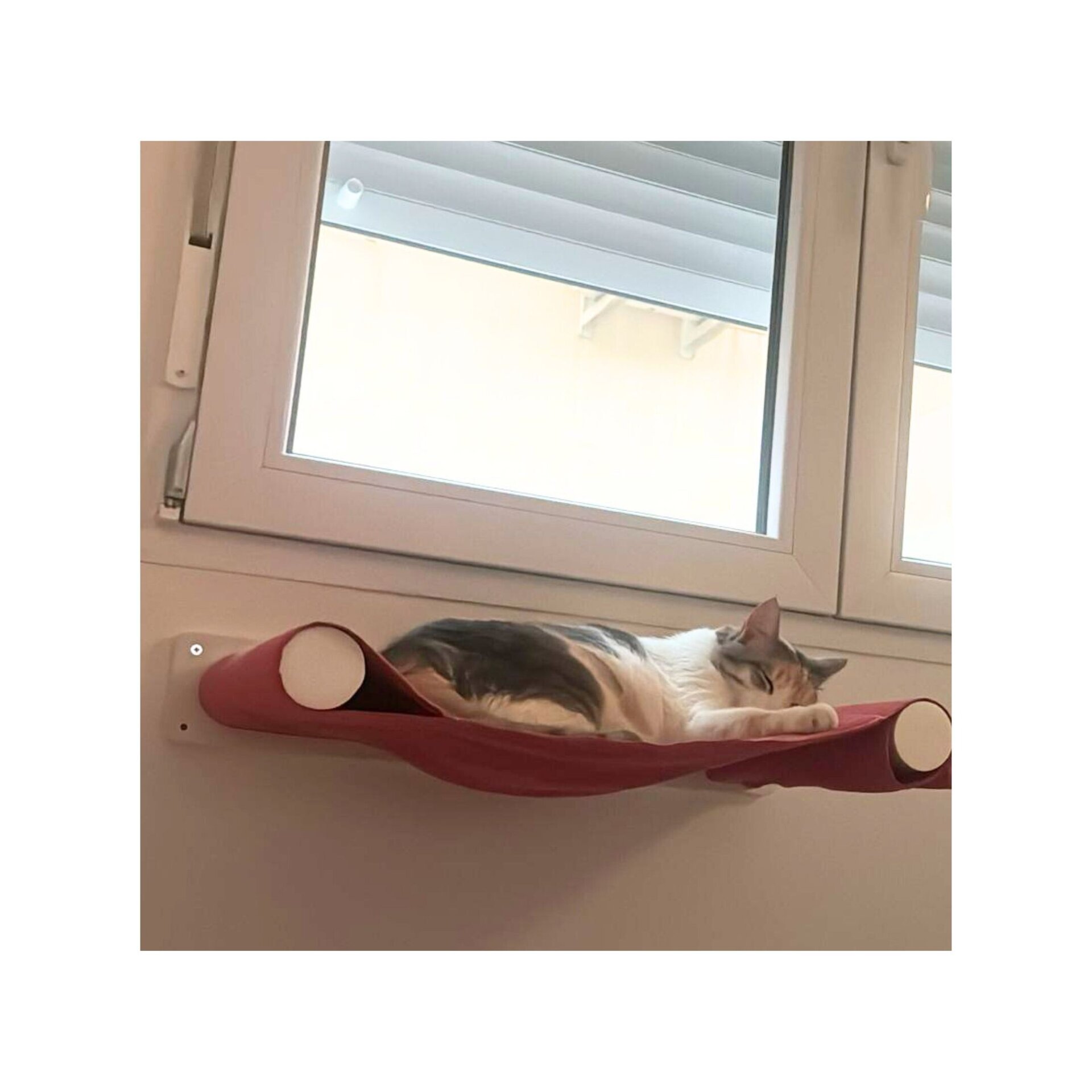 Hamaca para gatos + 2 Tejidos (¡1 de recambio!) + Estudio + Regalo - 28