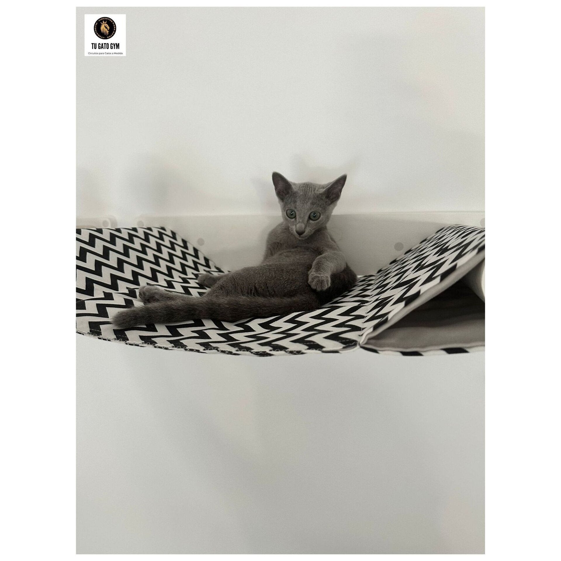 Hamaca para gatos + 2 Tejidos (¡1 de recambio!) + Estudio + Regalo - 11