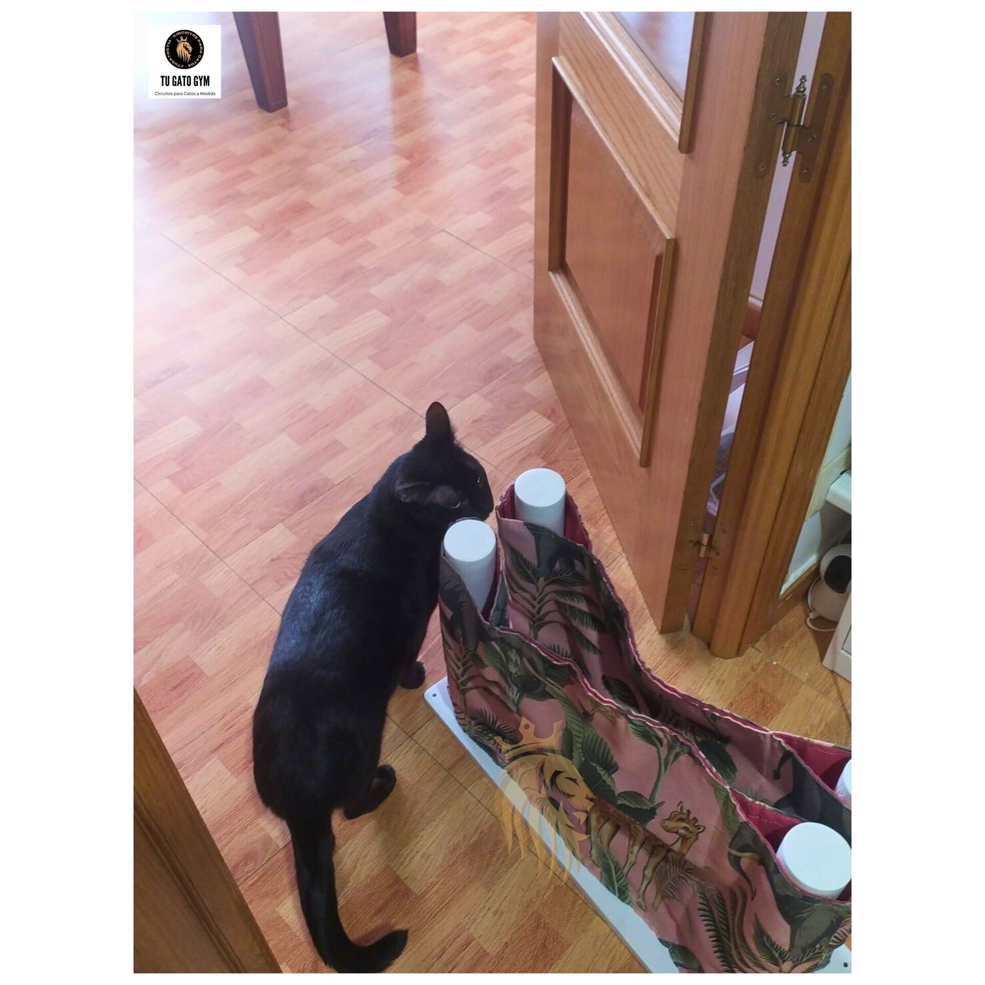 Hamaca para gatos de cualquier tamaño, ¡súper resistente! + Estudio + Regalo - 17