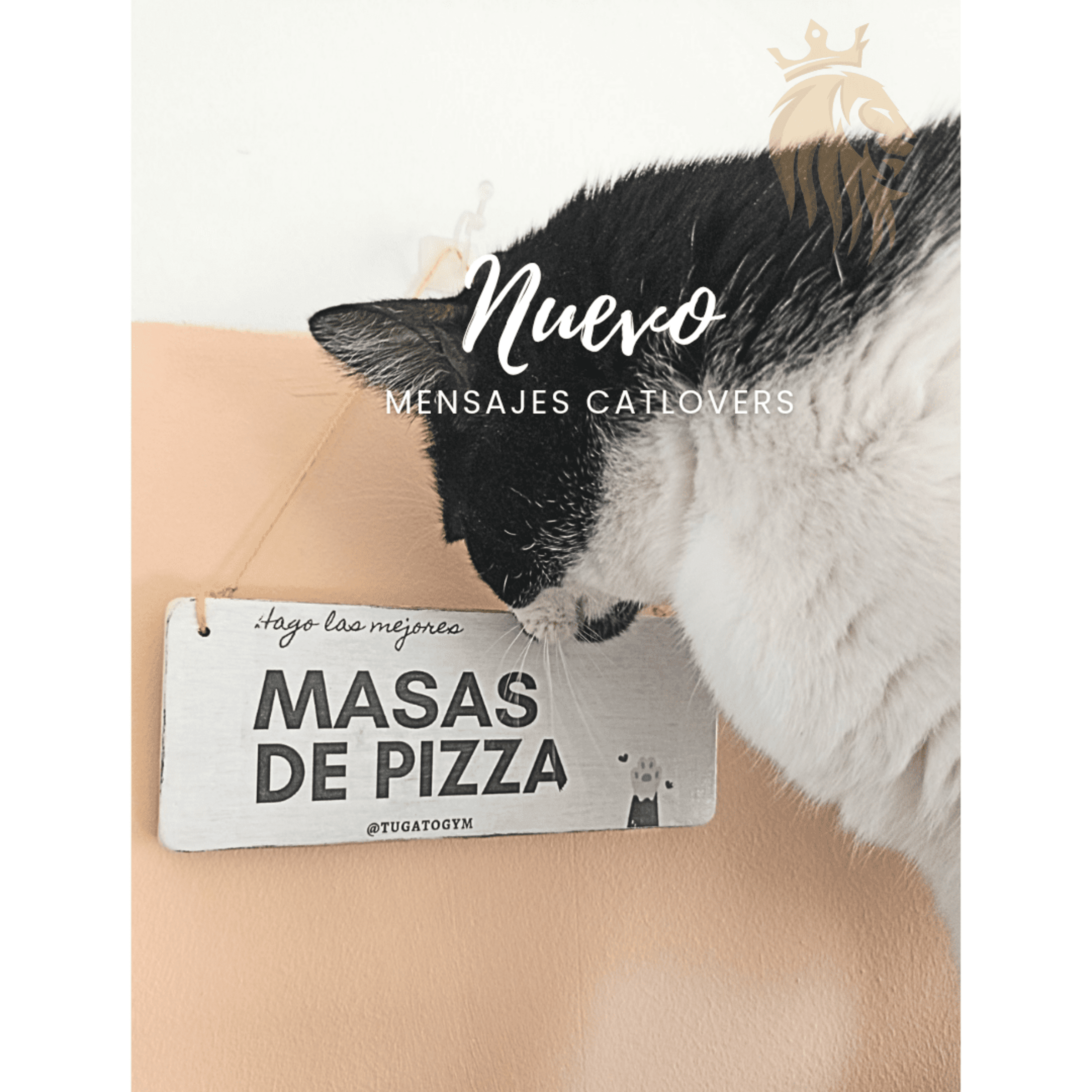 ESPECIAL CATLOVERS