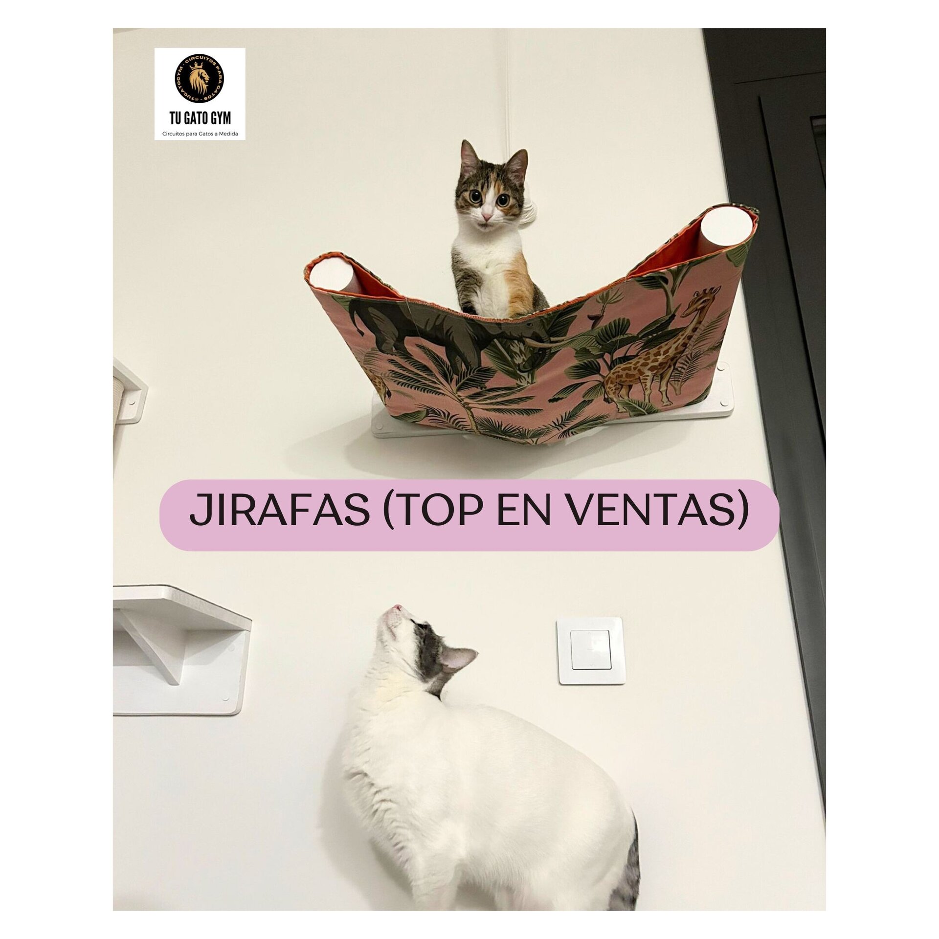 Hamaca para gatos de cualquier tamaño, ¡súper resistente! + Estudio + Regalo - 11