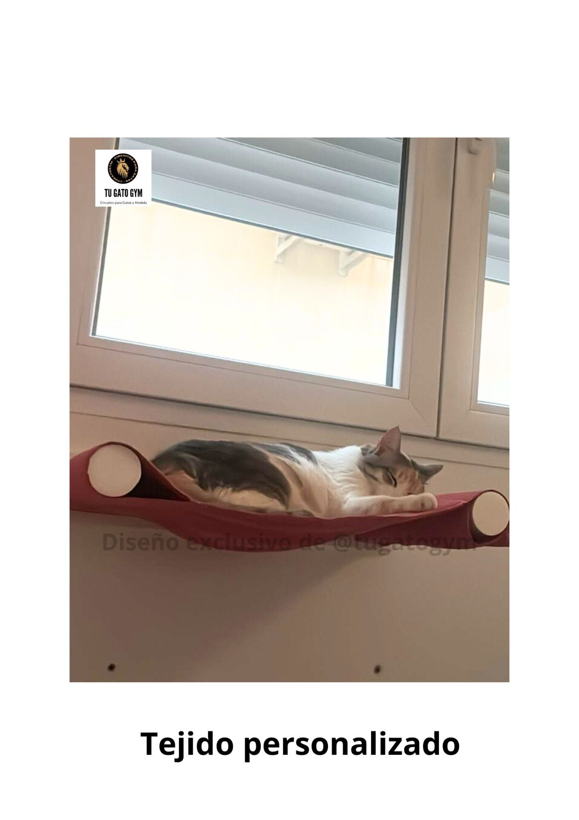 Hamaca para gatos de cualquier tamaño, ¡súper resistente! + Estudio + Regalo - 22