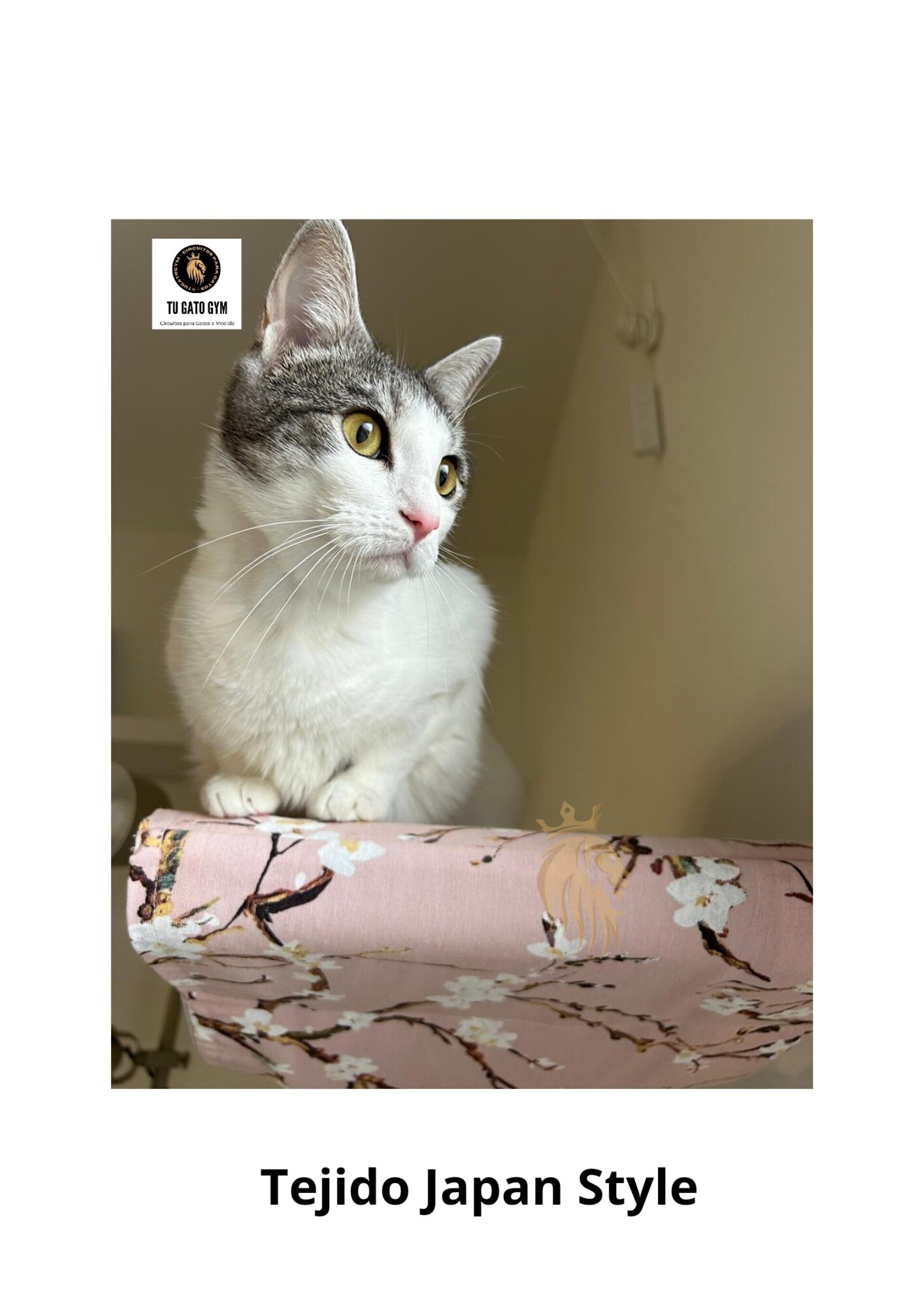 Hamaca para gatos de cualquier tamaño, ¡súper resistente! + Estudio + Regalo - 8