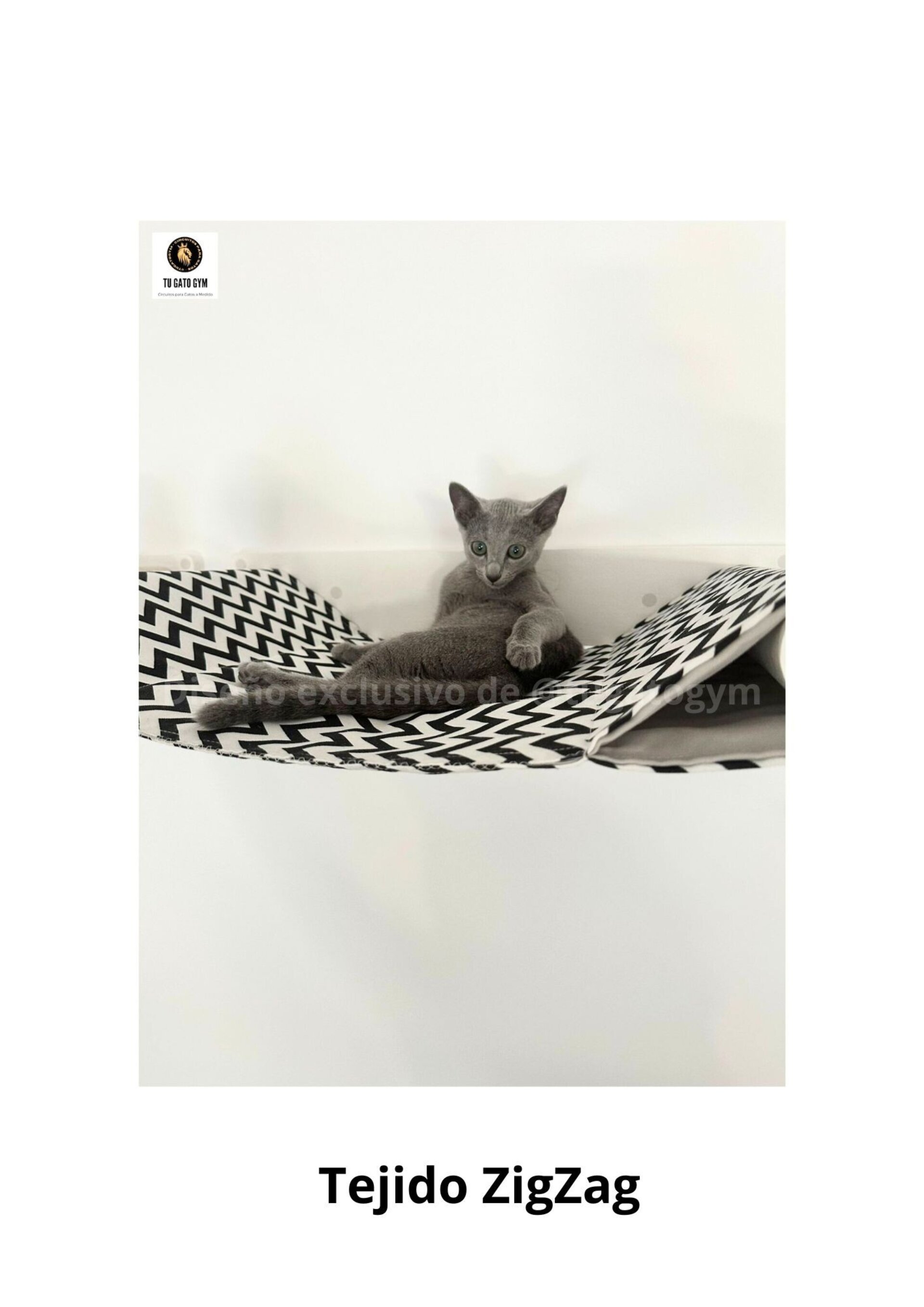 Hamaca para gatos de cualquier tamaño, ¡súper resistente! + Estudio + Regalo - 14