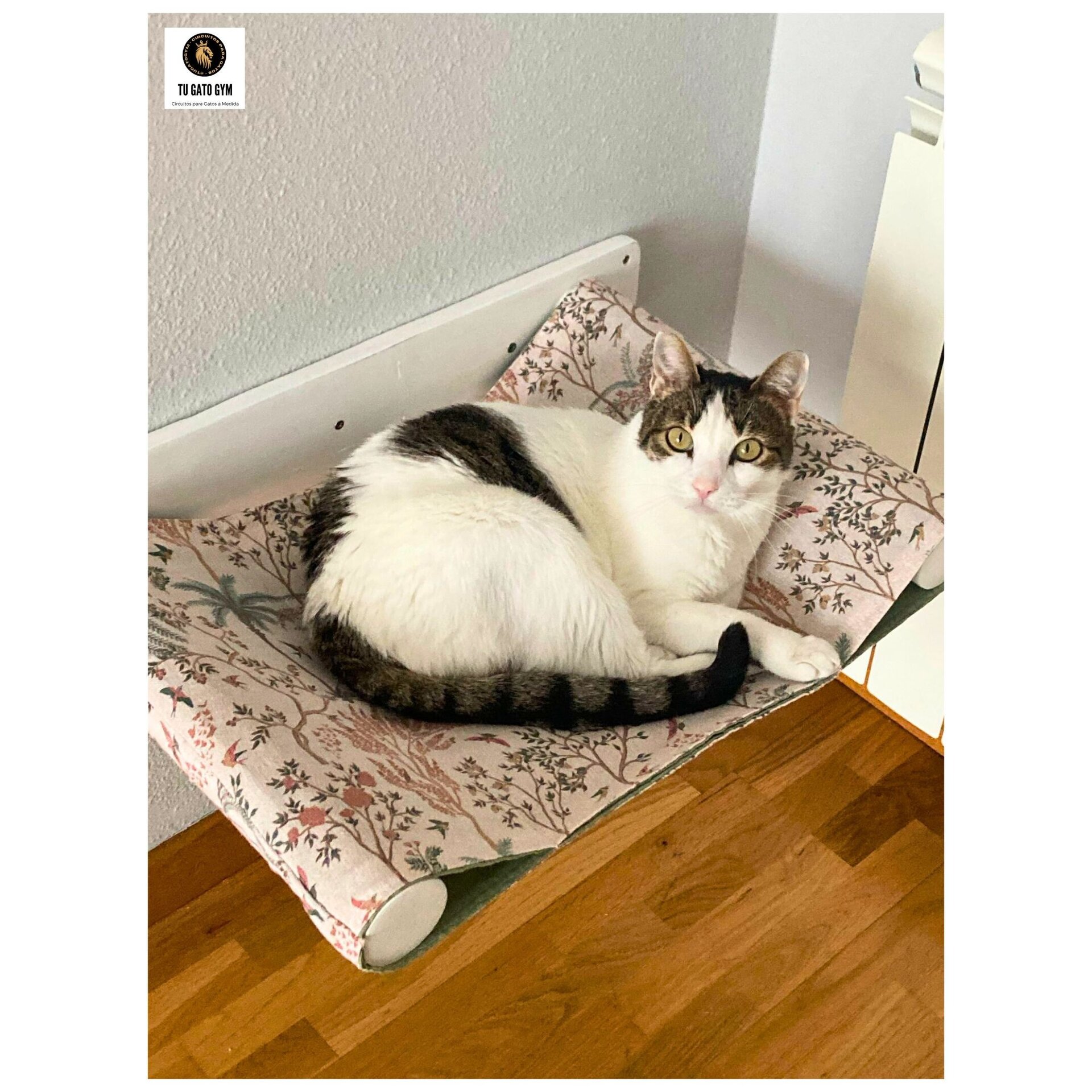 Hamaca para gatos + 2 Tejidos (¡1 de recambio!) + Estudio + Regalo - 16