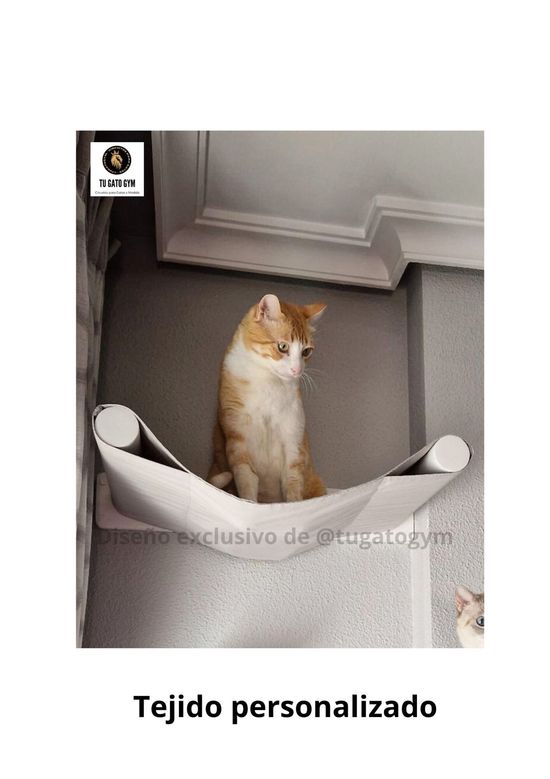 Hamaca para gatos de cualquier tamaño, ¡súper resistente! + Estudio + Regalo - 15