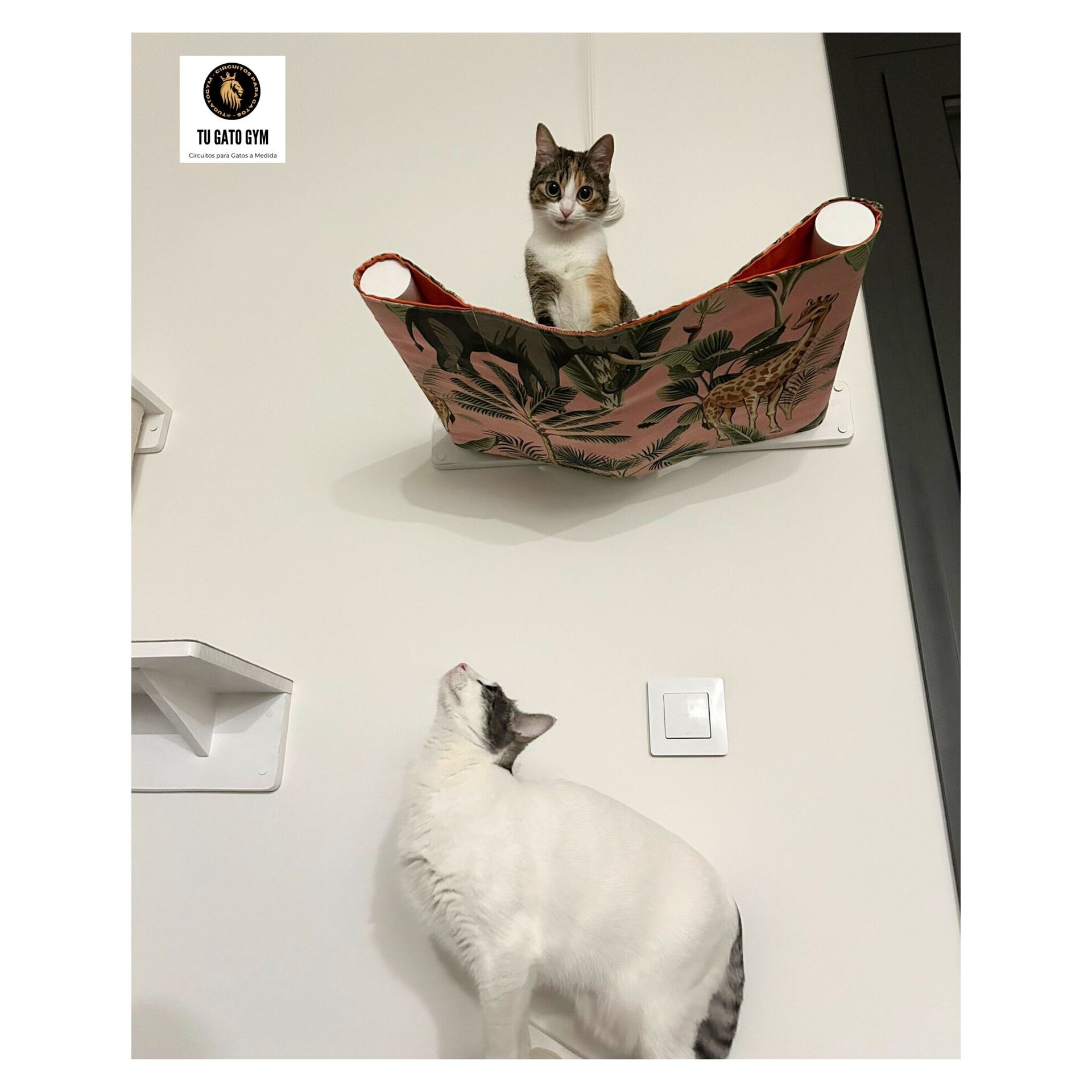 Hamaca para gatos + 2 Tejidos (¡1 de recambio!) + Estudio + Regalo - 9