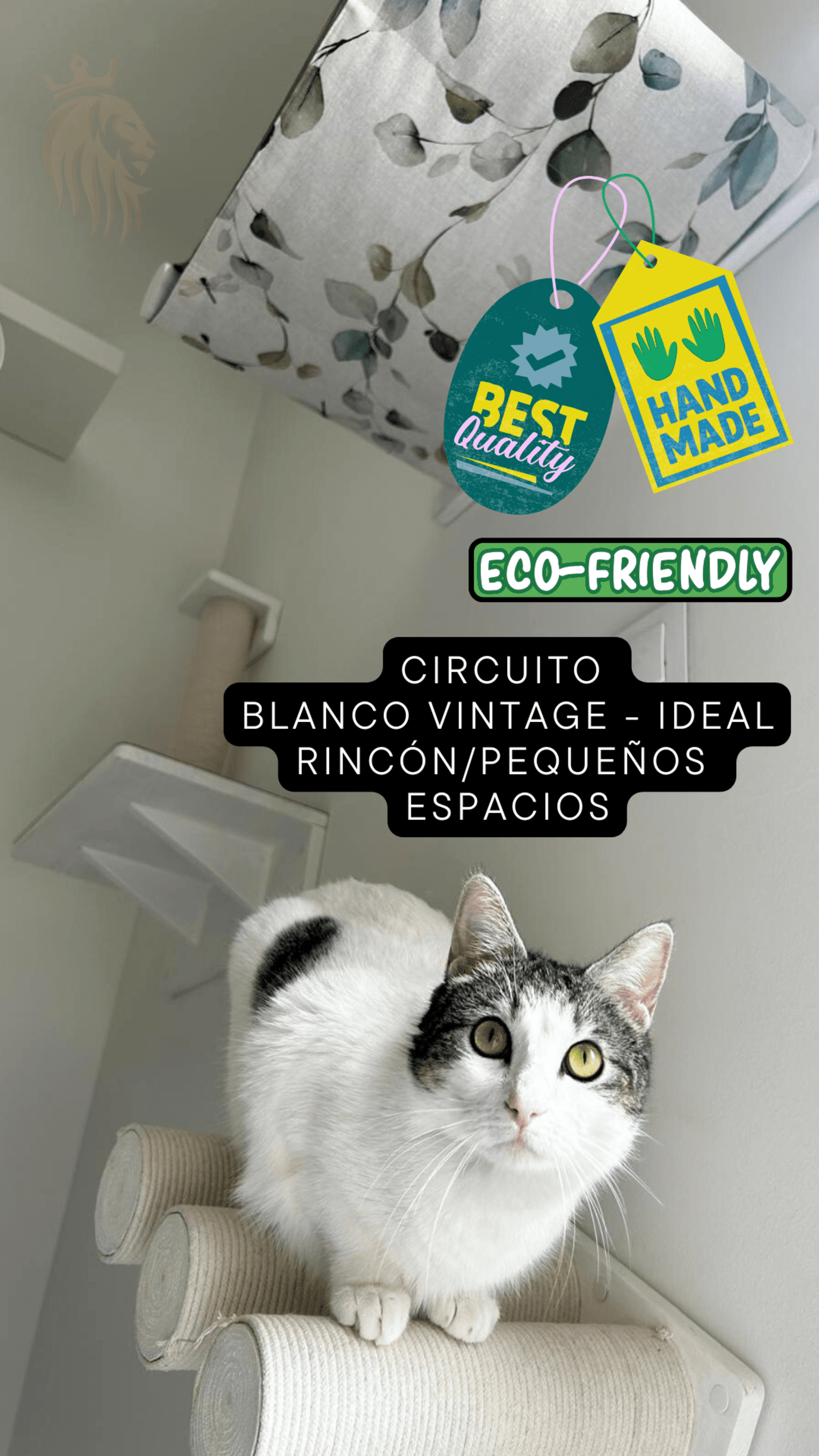 Circuito Blanco Vintage + Estudio + Esbozo + Regalo + Envío Gratis* - 2