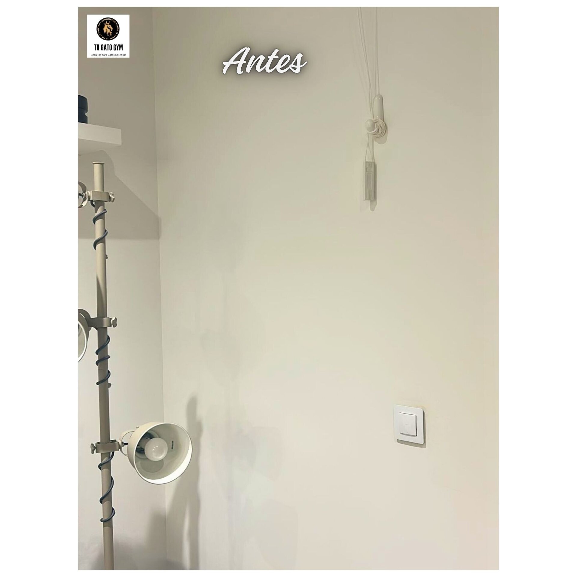 Circuito Blanco Vintage + Estudio + Esbozo + Regalo + Envío Gratis* - 4