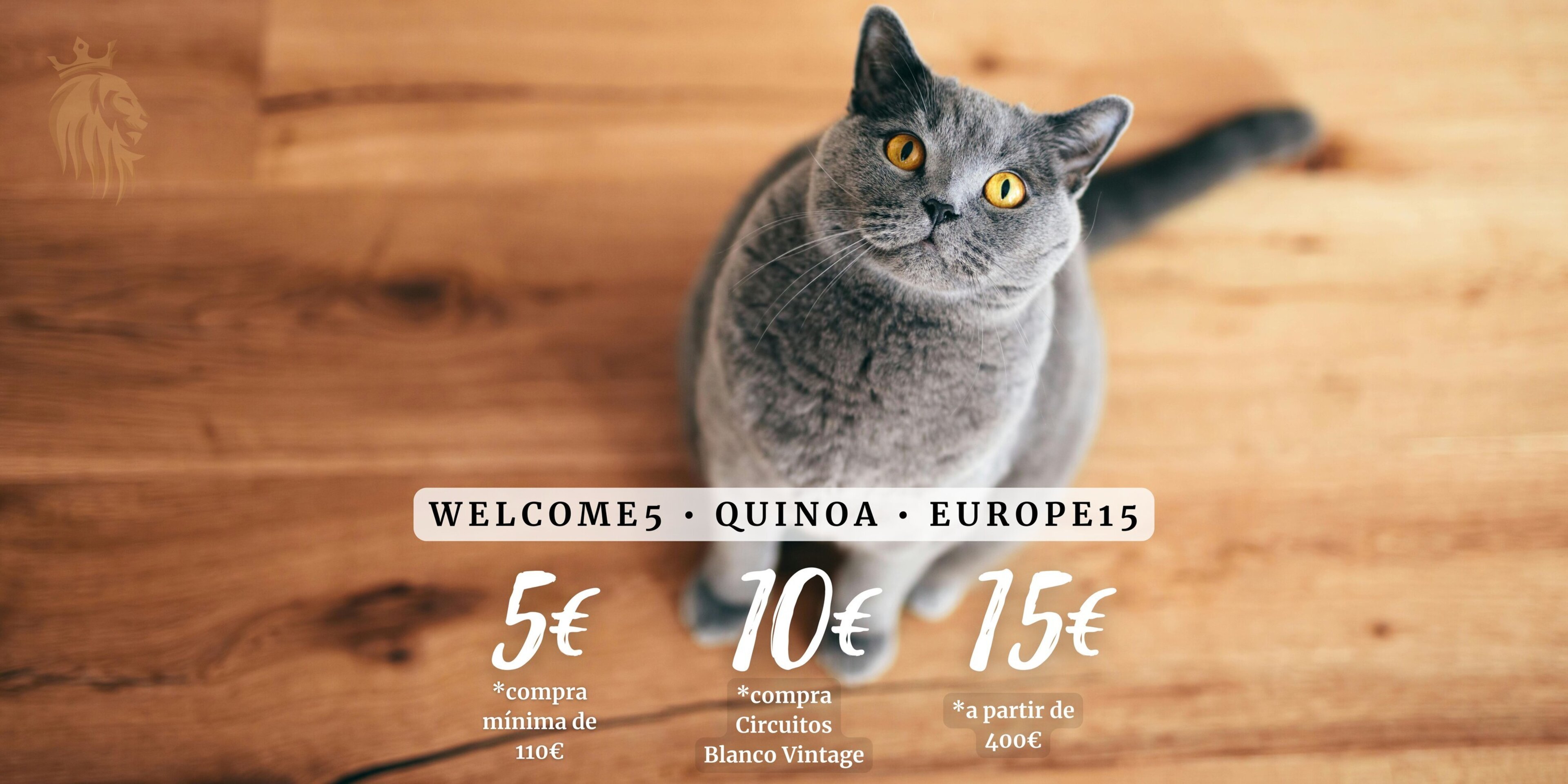 ¡Lo mejor para tu gato y para ti!