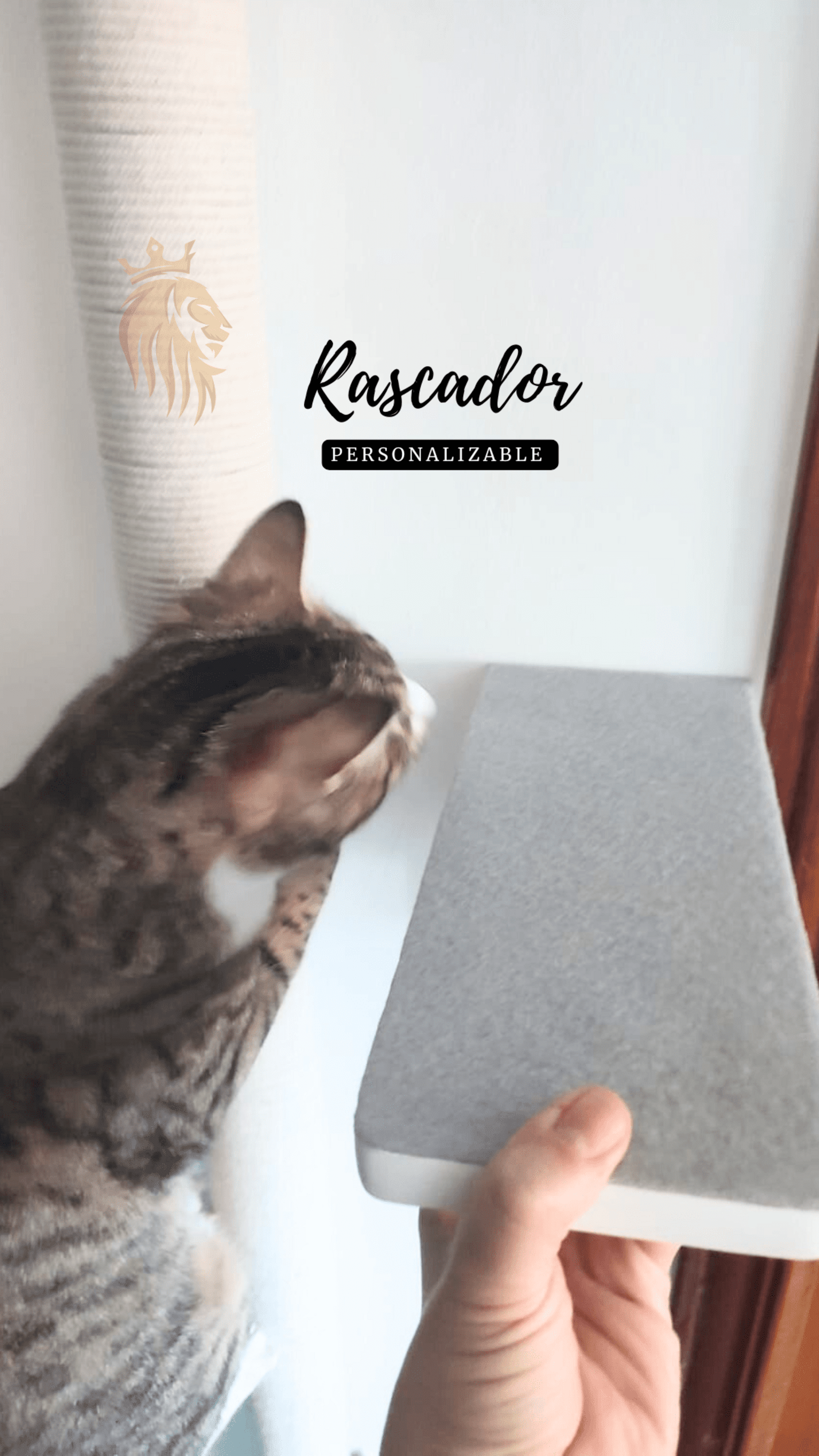 Rascador XL (personalizable) + Estudio de tu espacio + Esbozo + Regalo - 2