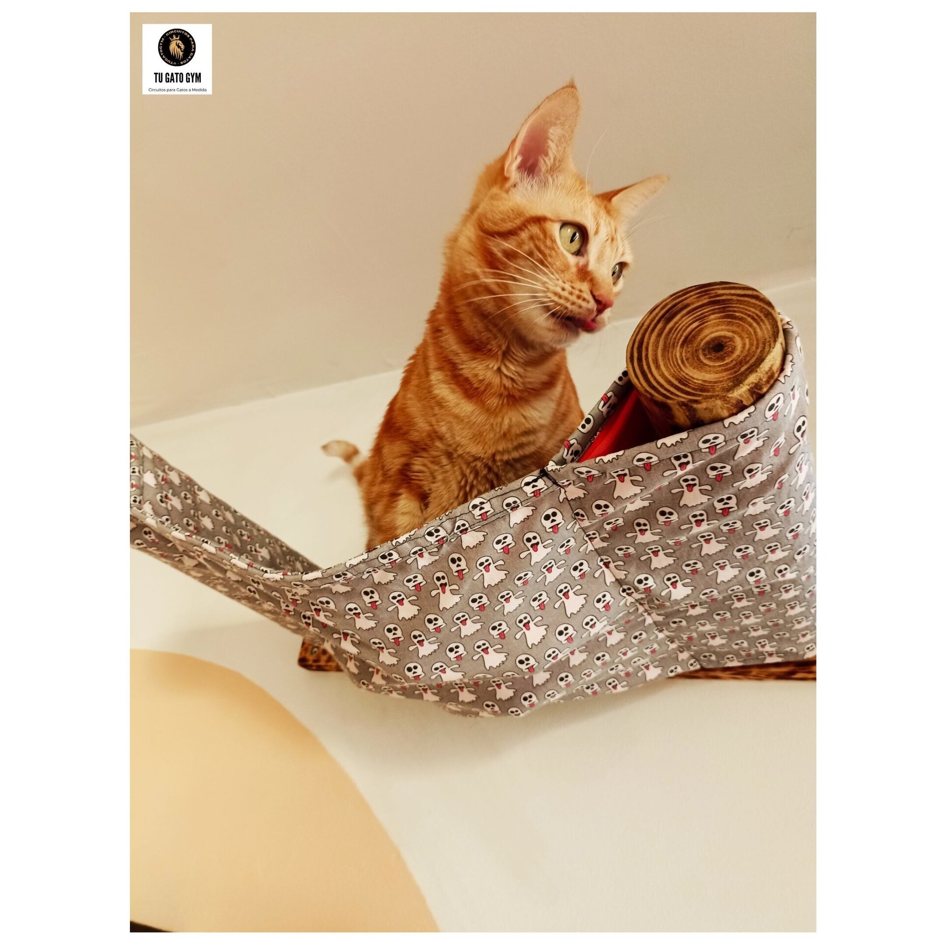 Hamaca para gatos de cualquier tamaño, ¡súper resistente! + Estudio + Regalo - 24