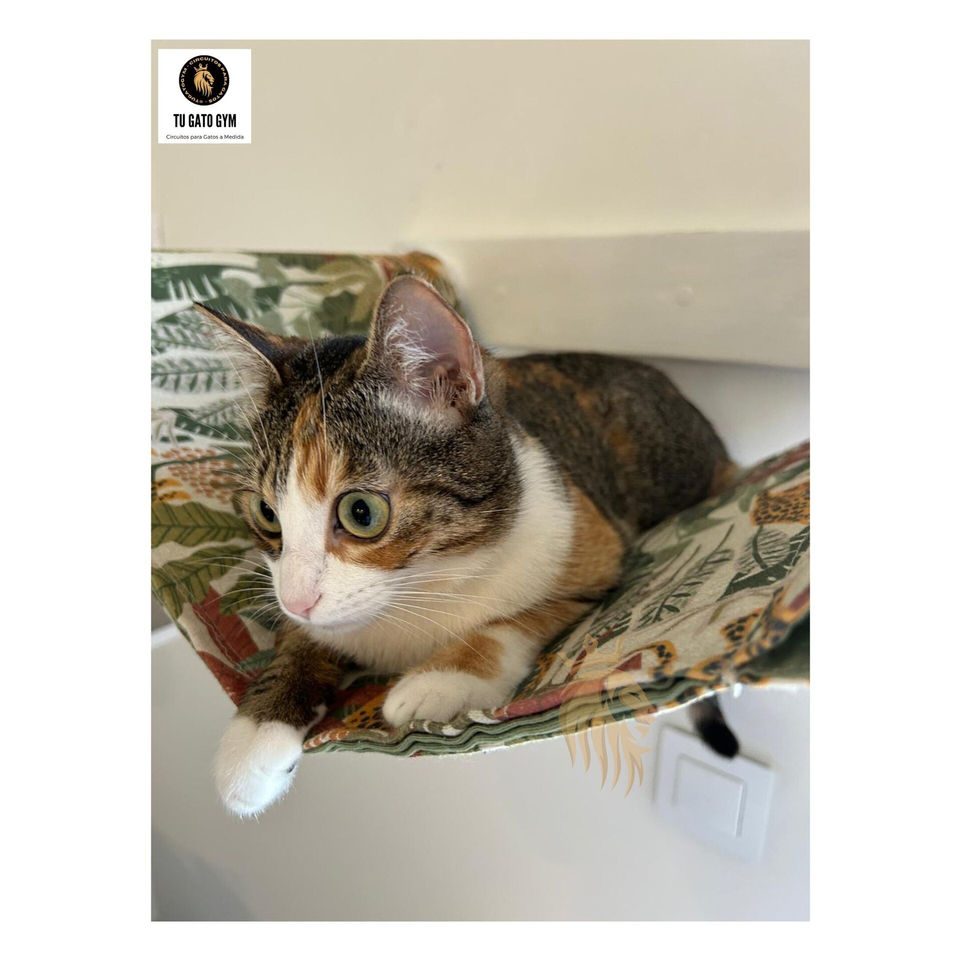 Hamaca para gatos de cualquier tamaño, ¡súper resistente! + Estudio + Regalo - 9
